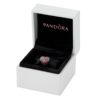 Caja pequeña para aretes, anillos y charms - Imagen 2